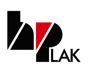 Logo 2